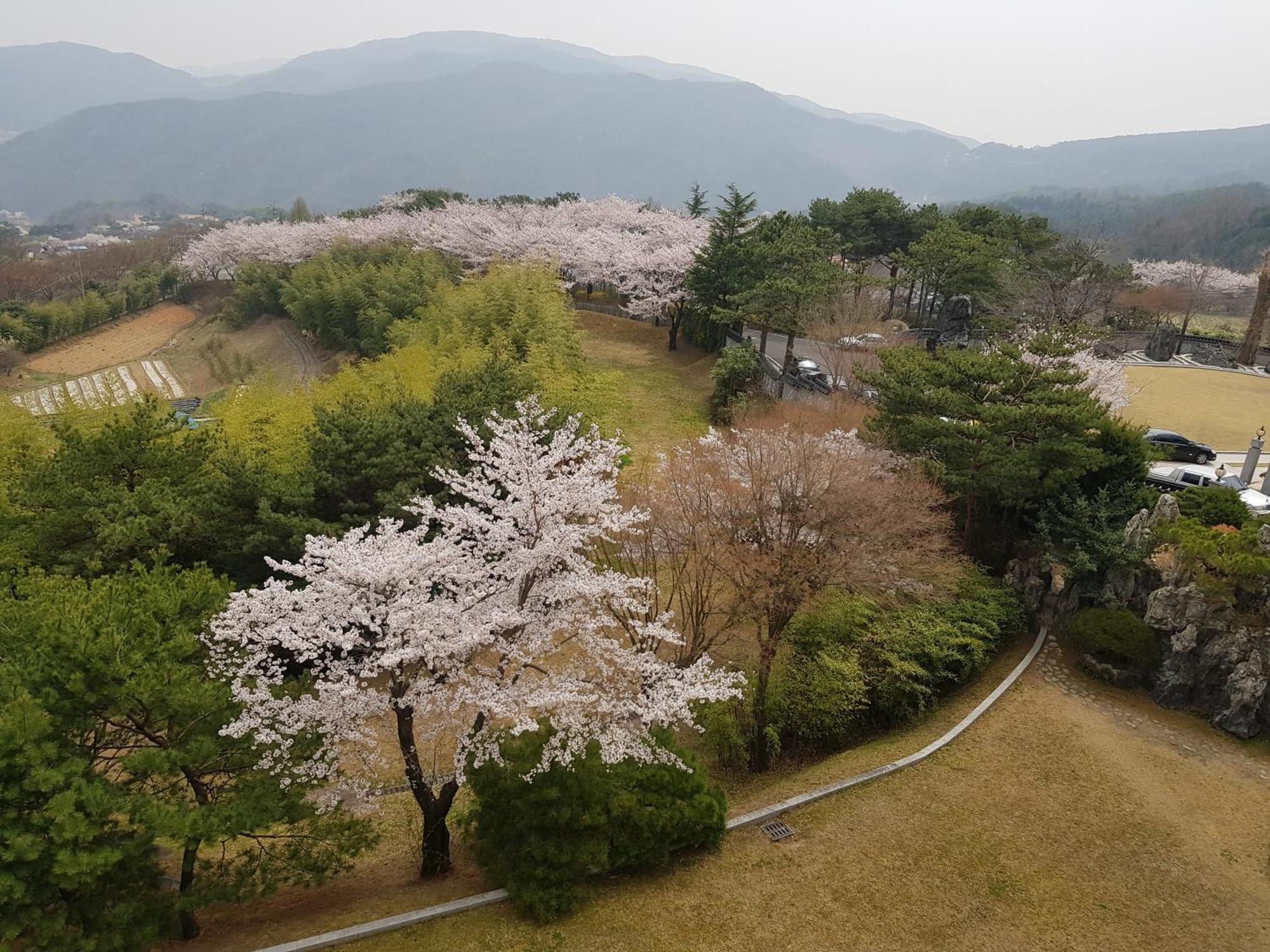 Hotel Gaya Seongju Exterior foto